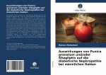 Auswirkungen von Punica granatum und/oder Sitagliptin auf die diabetische Nephropathie bei mannlichen Ratten