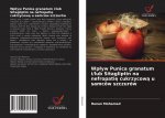 Wplyw Punica granatum i/lub Sitagliptin na nefropatię cukrzycową u samcow szczurow