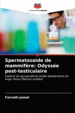 Spermatozoide de mammifere