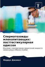 Сперматозоиды млекопит&#