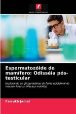 Espermatozoide de mamifero