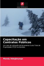 Capacitacao em Contratos Publicos