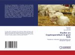 Studies on Cryptosporidium in goat kids