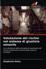 Valutazione del rischio nel sistema di giustizia minorile