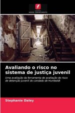 Avaliando o risco no sistema de justica juvenil