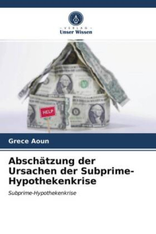 Abschatzung der Ursachen der Subprime-Hypothekenkrise