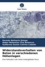 Widerstandsverhalten von Beton in verschiedenen Hoehenlagen