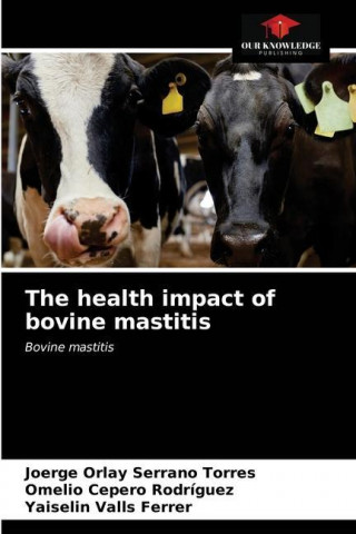 health impact of bovine mastitis