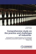 Comprehensive study on the practice and challenges of industries