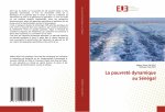pauvrete dynamique au Senegal