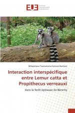 Interaction interspecifique entre Lemur catta et Propithecus verreauxi