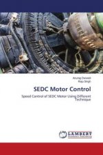 SEDC Motor Control