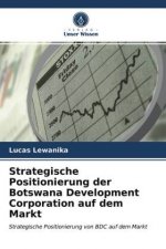 Strategische Positionierung der Botswana Development Corporation auf dem Markt
