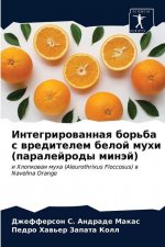 Интегрированная борьба &