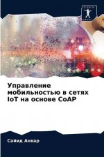 Управление мобильность&#