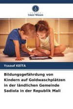 Bildungsgefahrdung von Kindern auf Goldwaschplatzen in der landlichen Gemeinde Sadiola in der Republik Mali