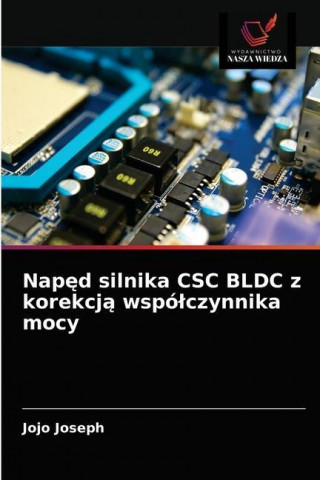 Napęd silnika CSC BLDC z korekcją wspolczynnika mocy