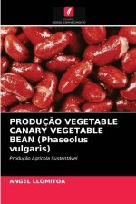 PRODUCAO VEGETABLE CANARY VEGETABLE BEAN (Phaseolus vulgaris)