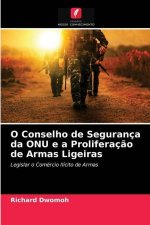 O Conselho de Seguranca da ONU e a Proliferacao de Armas Ligeiras