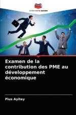 Examen de la contribution des PME au developpement economique