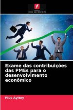 Exame das contribuicoes das PMEs para o desenvolvimento economico