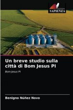 breve studio sulla citta di Bom Jesus PI