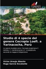 Studio di 4 specie del genere Cecropia Loefl. a Yarinacocha, Peru