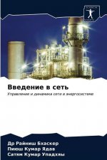 Введение в сеть