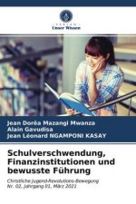 Schulverschwendung, Finanzinstitutionen und bewusste Fuhrung