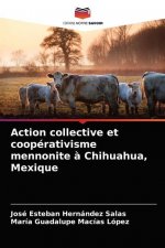 Action collective et cooperativisme mennonite a Chihuahua, Mexique