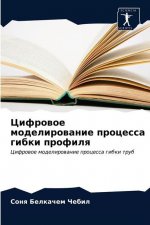 Цифровое моделирование &