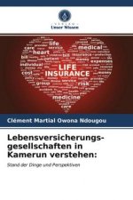 Lebensversicherungs- gesellschaften in Kamerun verstehen