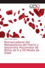 Biomarcadores del Metabolismo del Hierro y Desarrollo Psicomotor de Ninos de 6 a 59 Meses de Edad
