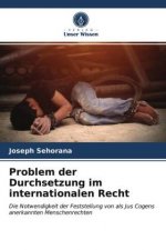 Problem der Durchsetzung im internationalen Recht