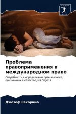 Проблема правоприменен&#