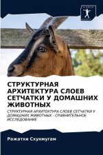 СТРУКТУРНАЯ АРХИТЕКТУР&#