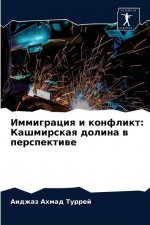Иммиграция и конфликт