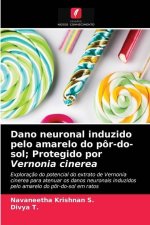 Dano neuronal induzido pelo amarelo do por-do-sol; Protegido por Vernonia cinerea