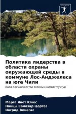 Политика лидерства в обл