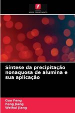Sintese da precipitacao nonaquosa de alumina e sua aplicacao