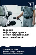Зарядка инфраструктуры &