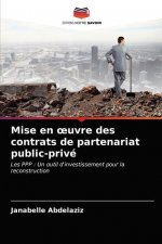 Mise en oeuvre des contrats de partenariat public-prive