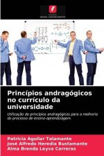 Principios andragogicos no curriculo da universidade
