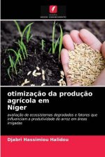otimizacao da producao agricola em Niger