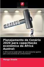 Planejamento de Cenario 2020 para capacitacao economica da Africa Austral