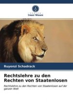 Rechtslehre zu den Rechten von Staatenlosen