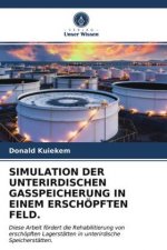 Simulation Der Unterirdischen Gasspeicherung in Einem Erschoepften Feld.