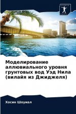 Моделирование аллювиал&#