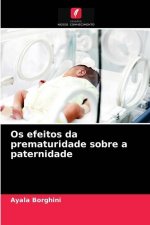 Os efeitos da prematuridade sobre a paternidade