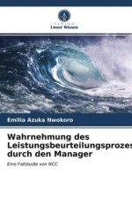 Wahrnehmung des Leistungsbeurteilungsprozesses durch den Manager